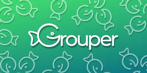 Logo for Grouper